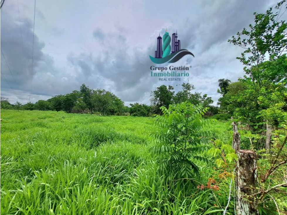 VENDO LOTE DE 4555M2 + AREA CAMPESTRE - 2