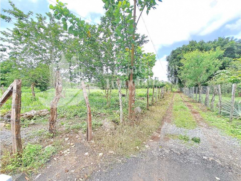 VENDO LOTE DE 4555M2 + AREA CAMPESTRE - 3