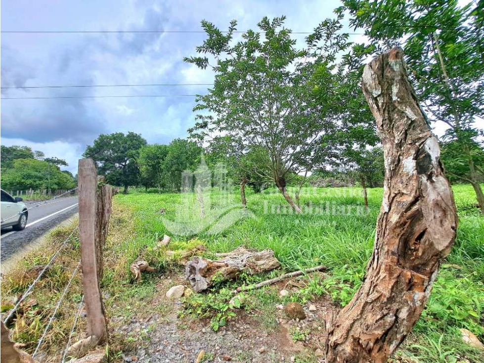 VENDO LOTE DE 4555M2 + AREA CAMPESTRE - 4