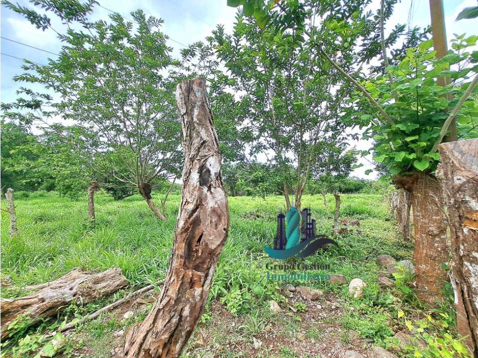 VENDO LOTE DE 4555M2 + AREA CAMPESTRE - 6