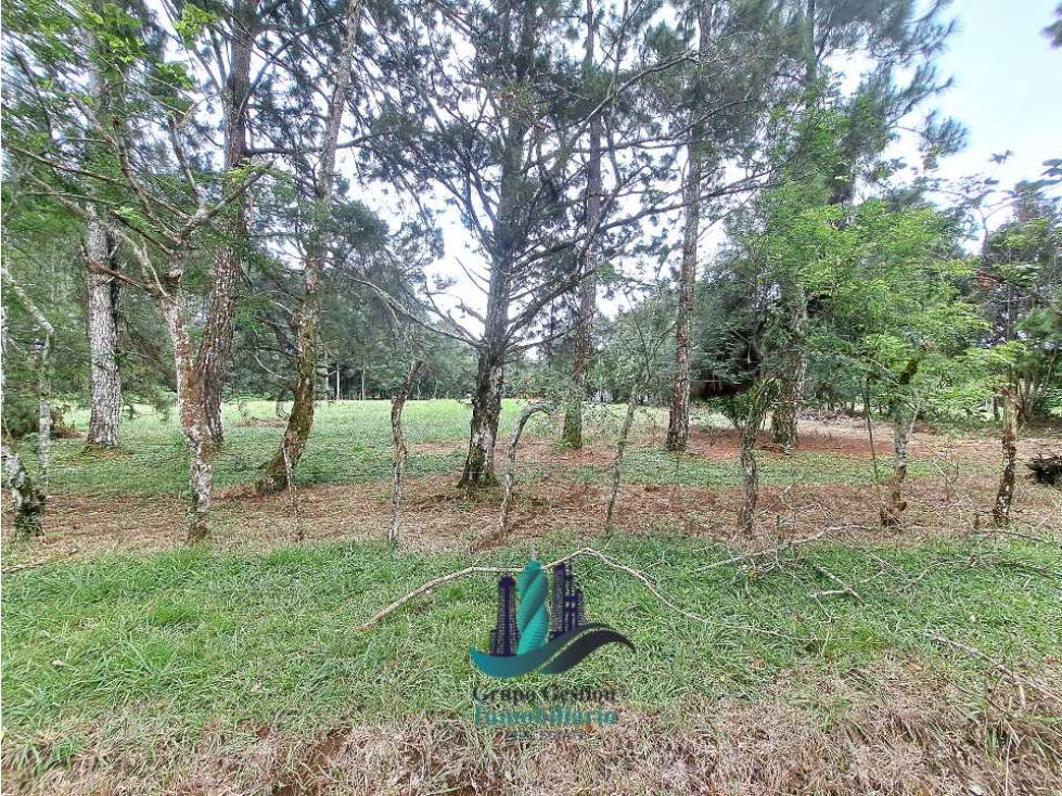 VENDO LOTE DE 5000M2 POTRERILLOS VIA ARRIBA - 1