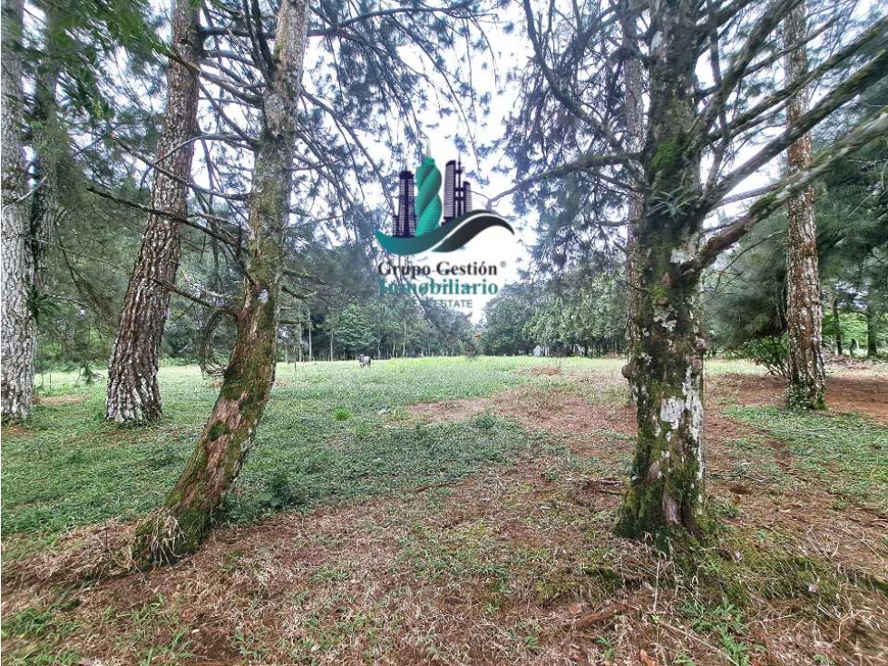 VENDO LOTE DE 5000M2 POTRERILLOS VIA ARRIBA - 2