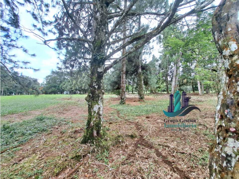 VENDO LOTE DE 5000M2 POTRERILLOS VIA ARRIBA - 3