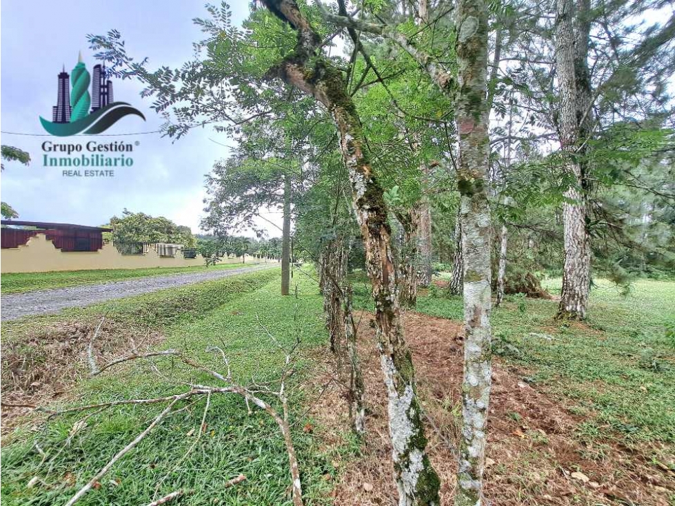 VENDO LOTE DE 5000M2 POTRERILLOS VIA ARRIBA - 4