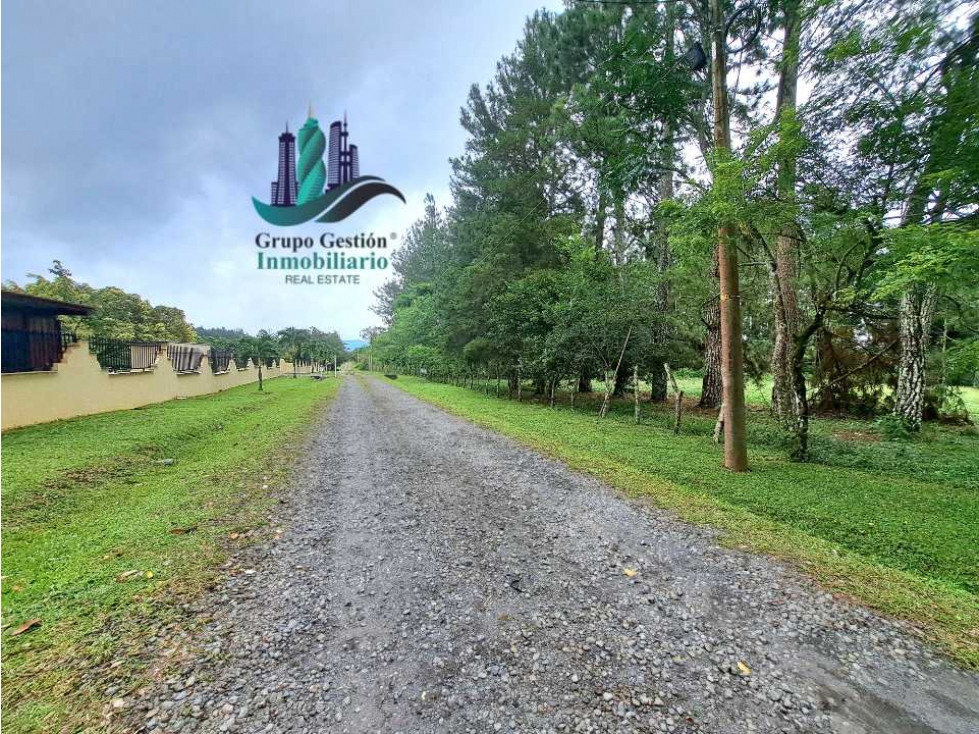VENDO LOTE DE 5000M2 POTRERILLOS VIA ARRIBA - 6