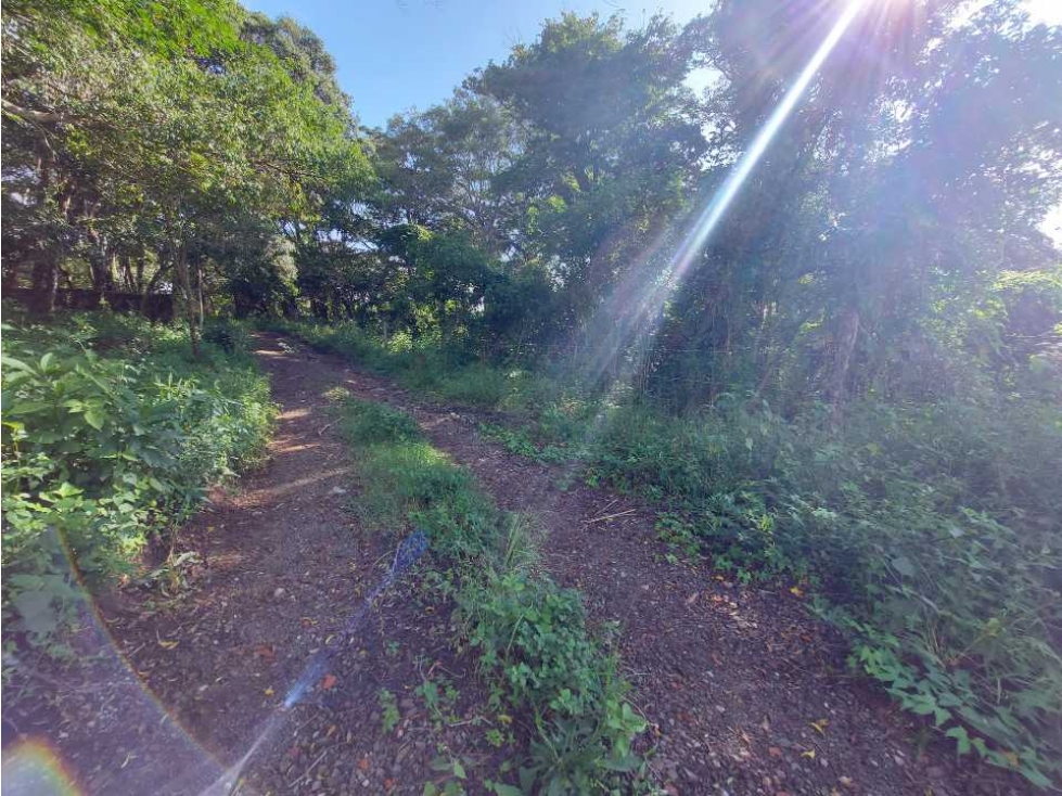VENDO LOTE DE 6000M2 EN PALMIRA ARRIBA — foto 6