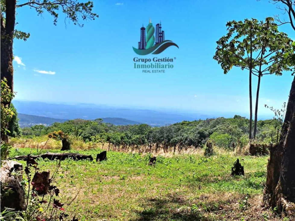 VENDO LOTE DE 6000M2 EN PALMIRA ARRIBA