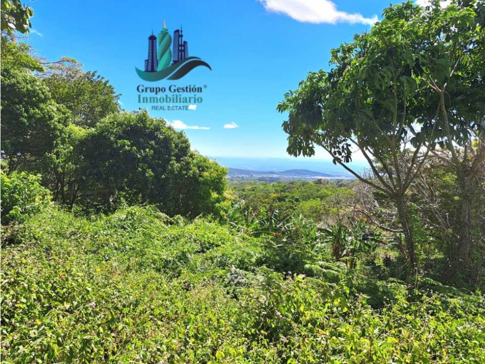 VENDO LOTE DE 6000M2 EN PALMIRA ARRIBA — foto 2
