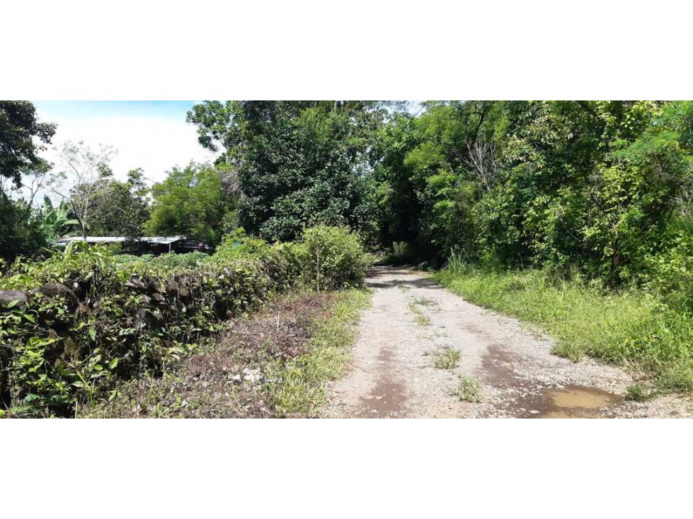 VENDO LOTE DE 6000M2 EN POTRERILLOS - 1