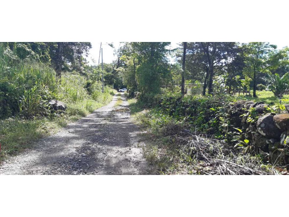 VENDO LOTE DE 6000M2 EN POTRERILLOS - 2