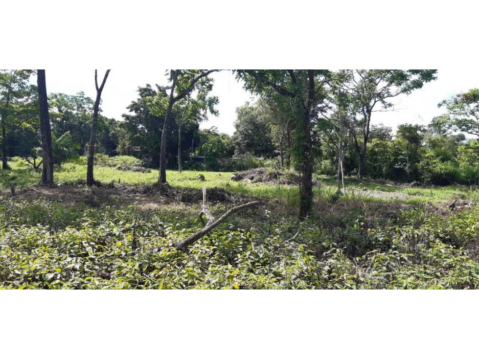 VENDO LOTE DE 6000M2 EN POTRERILLOS - 3