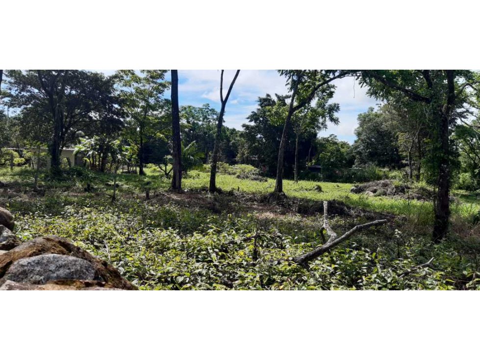 VENDO LOTE DE 6000M2 EN POTRERILLOS - 4