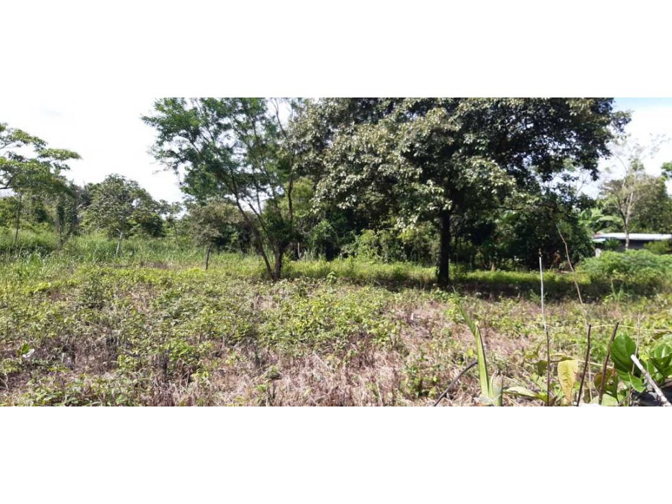 VENDO LOTE DE 6000M2 EN POTRERILLOS - 5