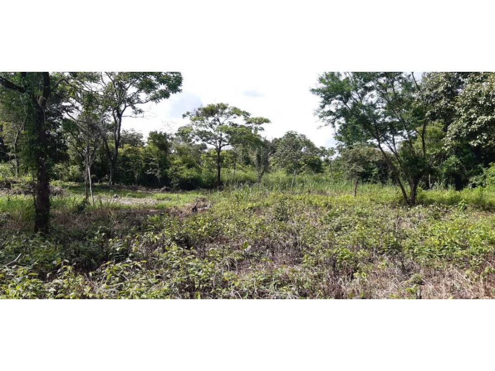 VENDO LOTE DE 6000M2 EN POTRERILLOS - 6