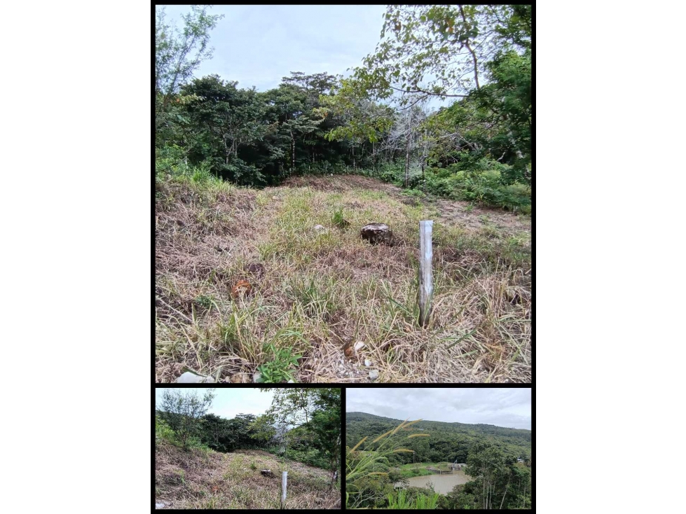 VENDO LOTE DE 614MTS COMERCIAL BQT - 2