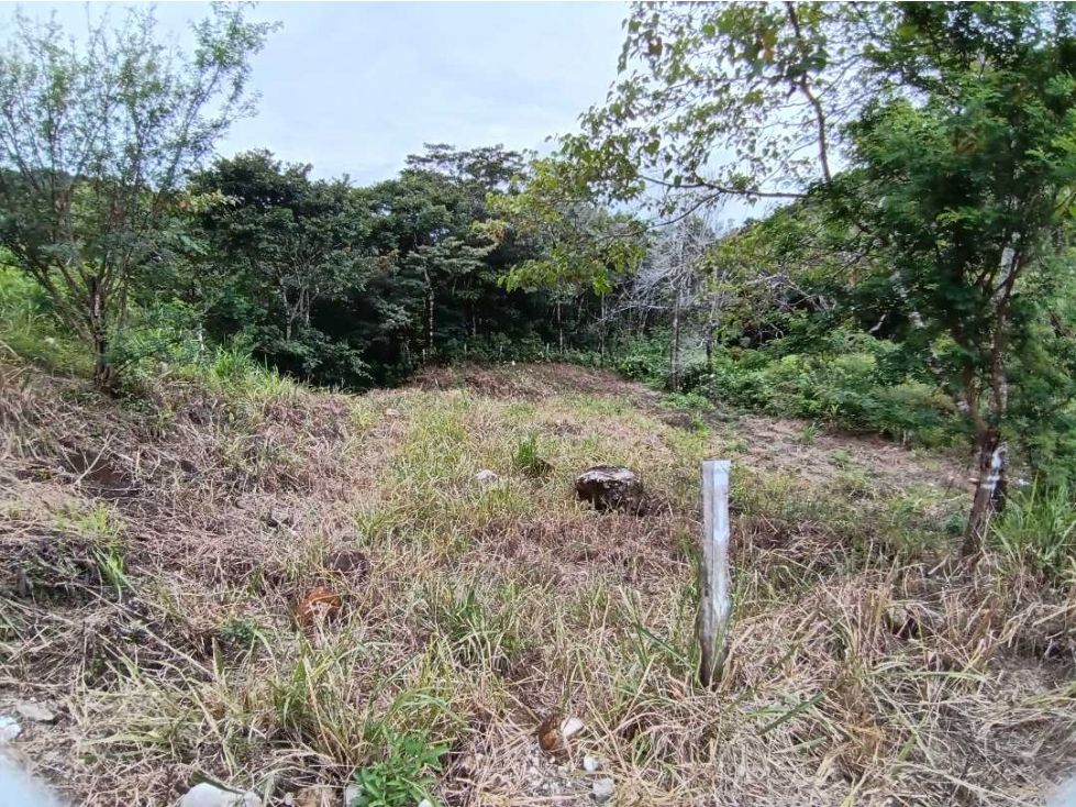 VENDO LOTE DE 614MTS COMERCIAL BQT - 3