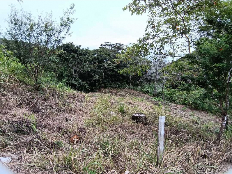 VENDO LOTE DE 614MTS COMERCIAL BQT - 4
