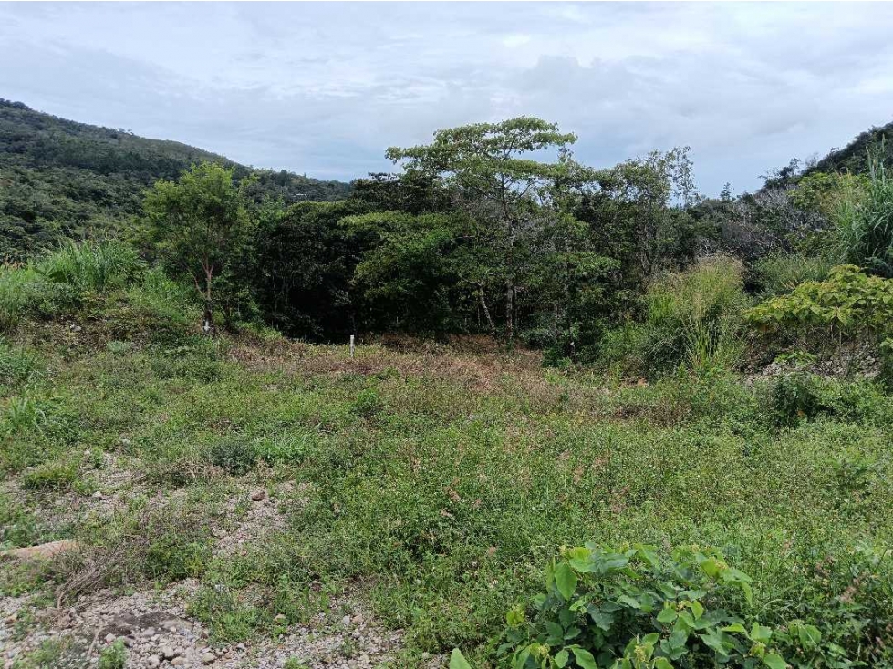 VENDO LOTE DE 614MTS COMERCIAL BQT - 5