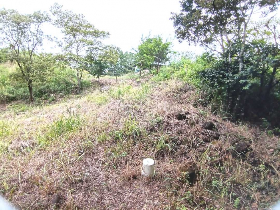 VENDO LOTE DE 614MTS COMERCIAL BQT - 6