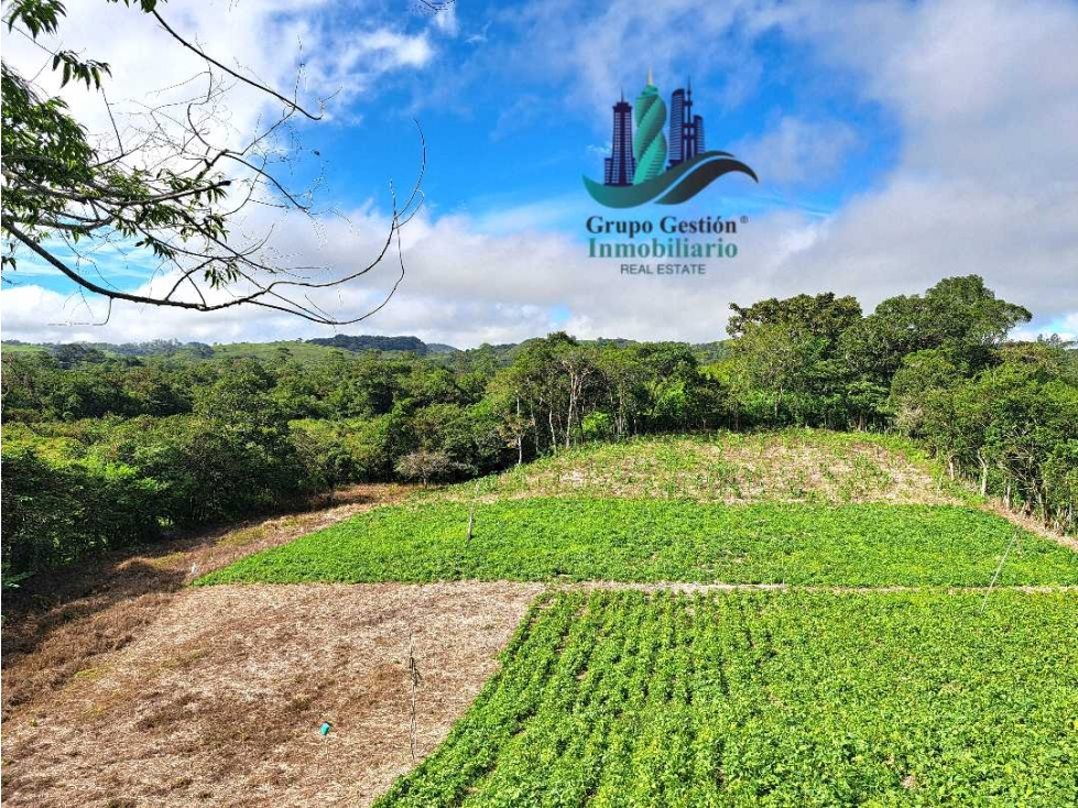 VENDO LOTE DE 7000MTS A SEGREGAR.VOLCAN - 1