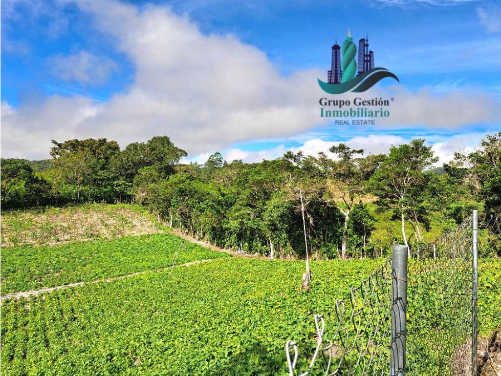 VENDO LOTE DE 7000MTS A SEGREGAR.VOLCAN - 4