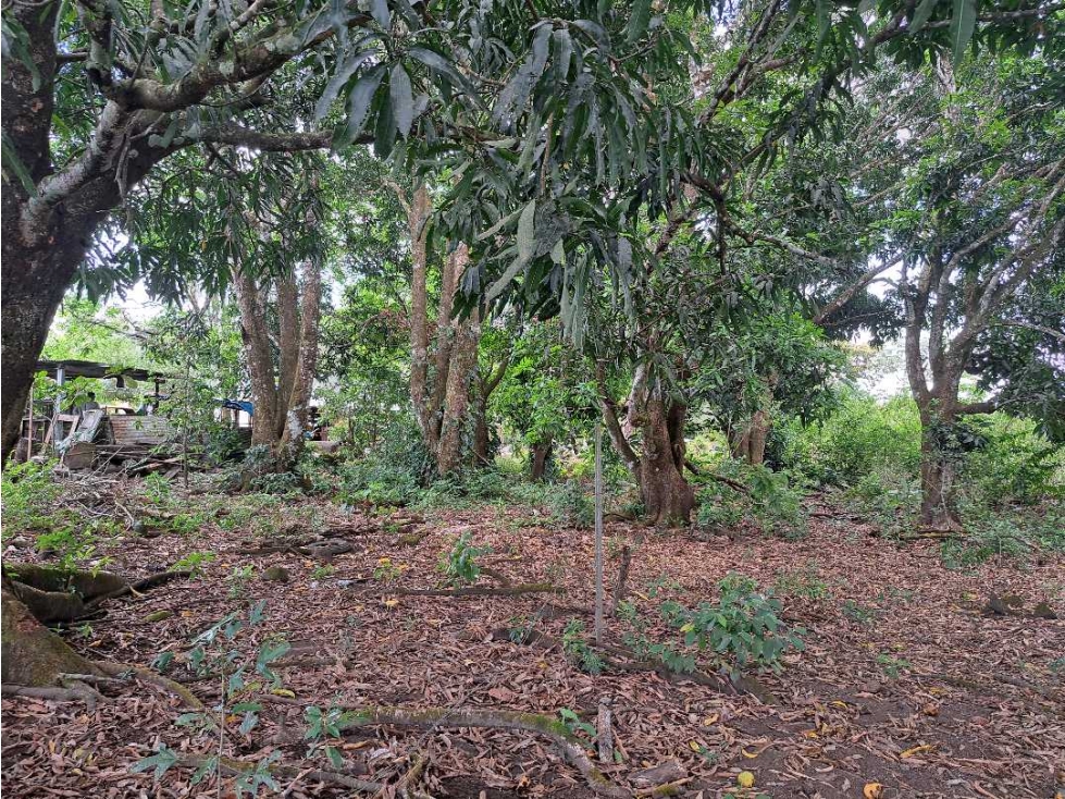 VENDO LOTE DE 788mts LAS TRANCAS-BQT precio de oferta — foto 2