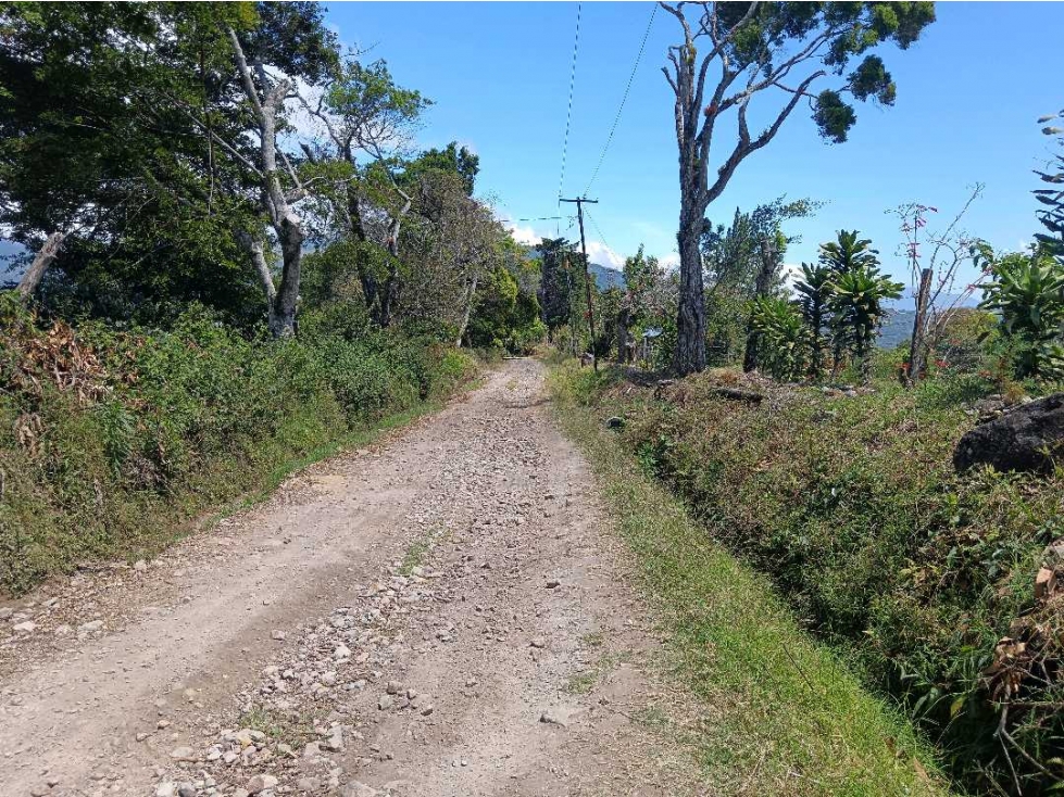 VENDO LOTE DE 8365MTS EN VOLCANCITO — foto 4