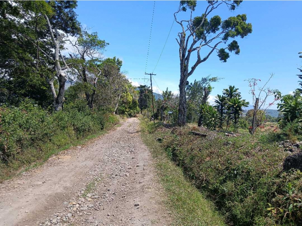 VENDO LOTE DE 8365MTS EN VOLCANCITO — foto 5