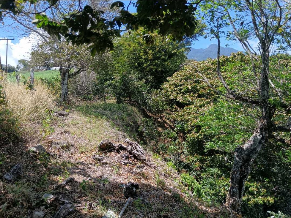 VENDO LOTE DE 8365MTS EN VOLCANCITO — foto 6