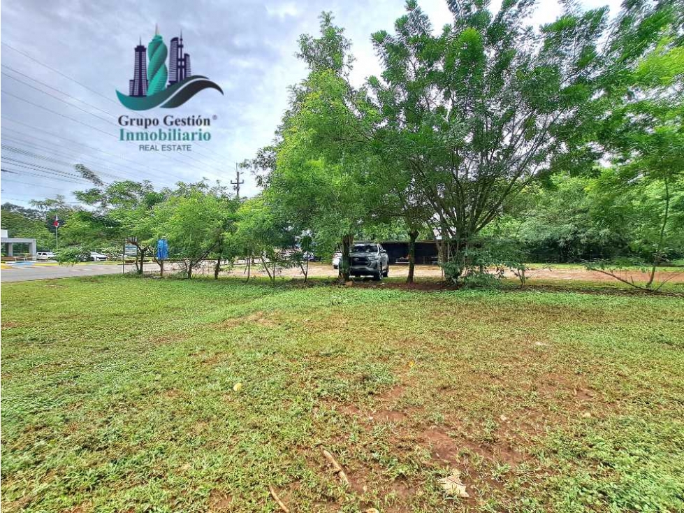 VENDO LOTE DE 8490MTS EN DOLEGA - 2
