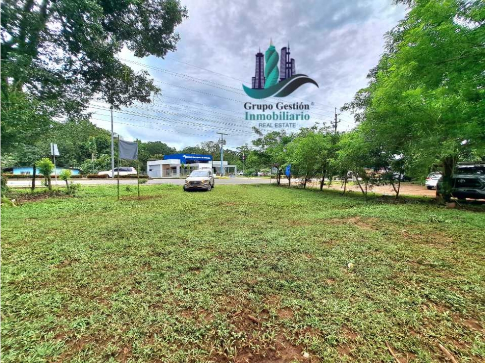 VENDO LOTE DE 8490MTS EN DOLEGA - 3