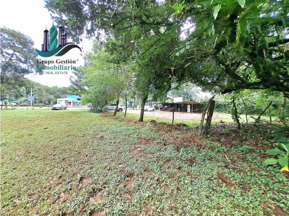 VENDO LOTE DE 8490MTS EN DOLEGA - 4