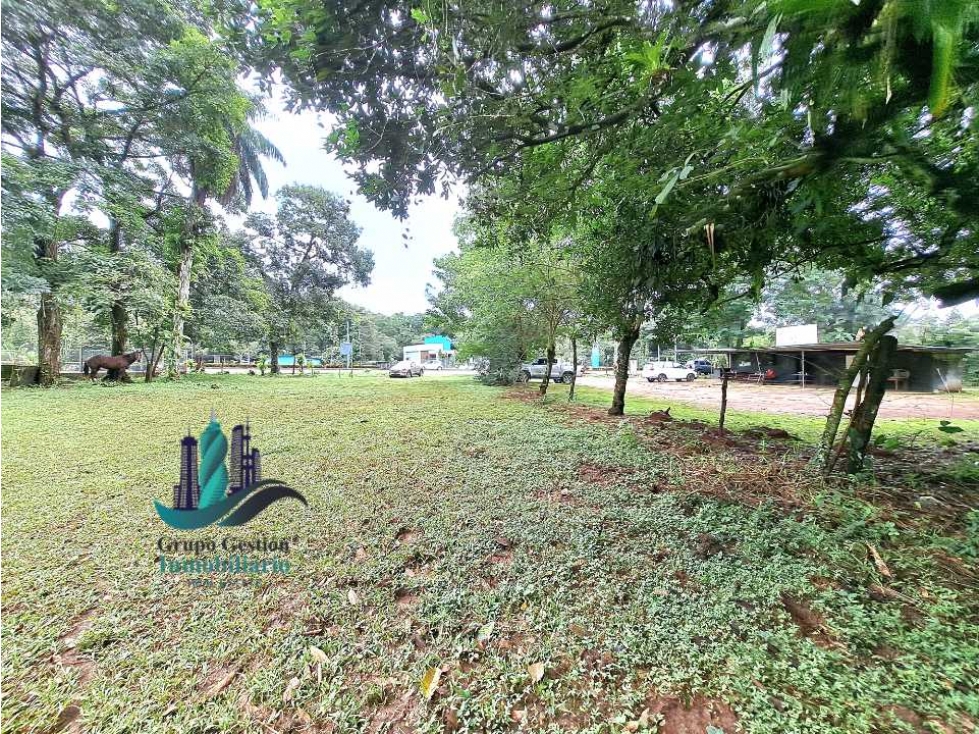 VENDO LOTE DE 8490MTS EN DOLEGA - 5