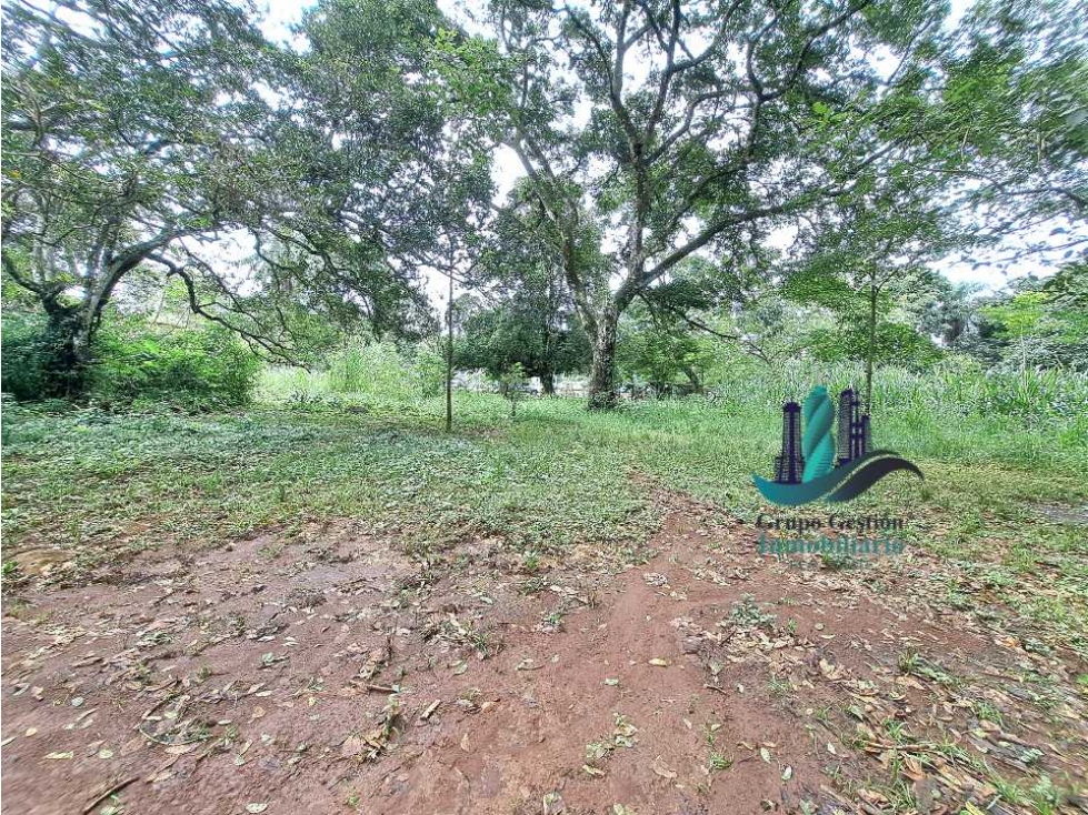 VENDO LOTE DE 8490MTS EN DOLEGA - 6