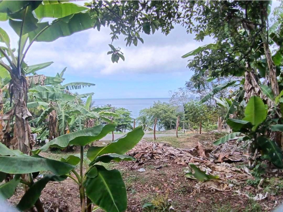VENDO LOTE DE 1100MTS CON RESTAURANTE PETROTERMINAL PUERTO ARMUELLES — foto 5