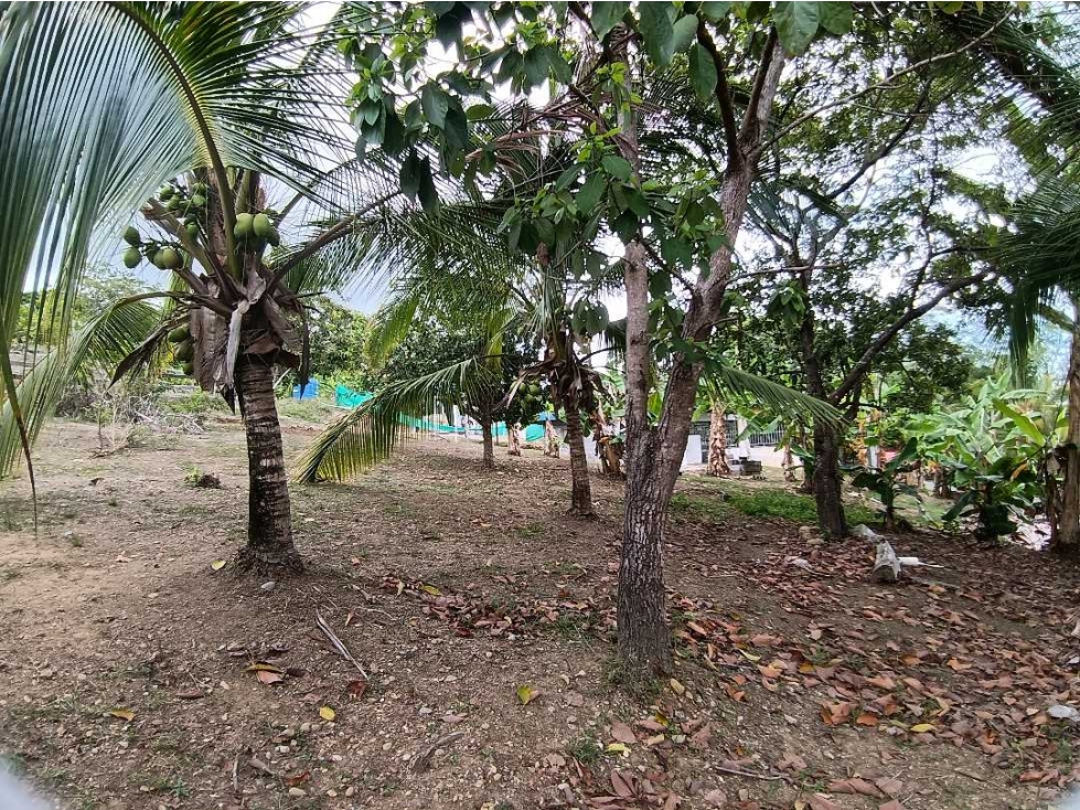 VENDO LOTE DE 1100MTS CON RESTAURANTE PETROTERMINAL PUERTO ARMUELLES — foto 6