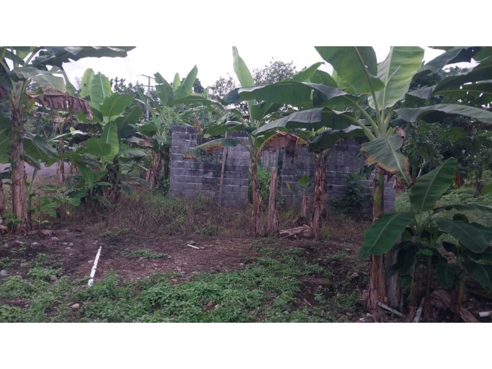 VENDO LOTE DE 900MTS D.P. SIOGUI - 4