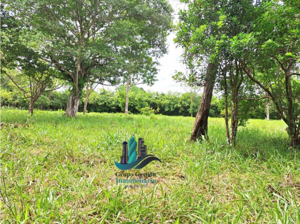 VENDO LOTE DE 9525MTS DIVALA - 2
