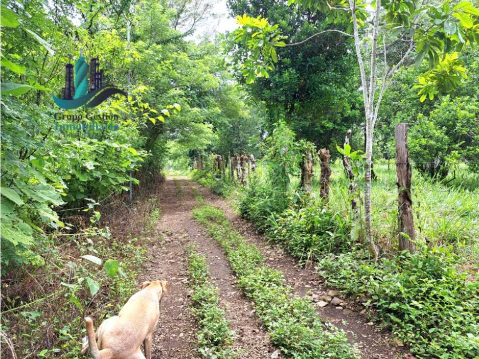 VENDO LOTE DE 9525MTS DIVALA - 3