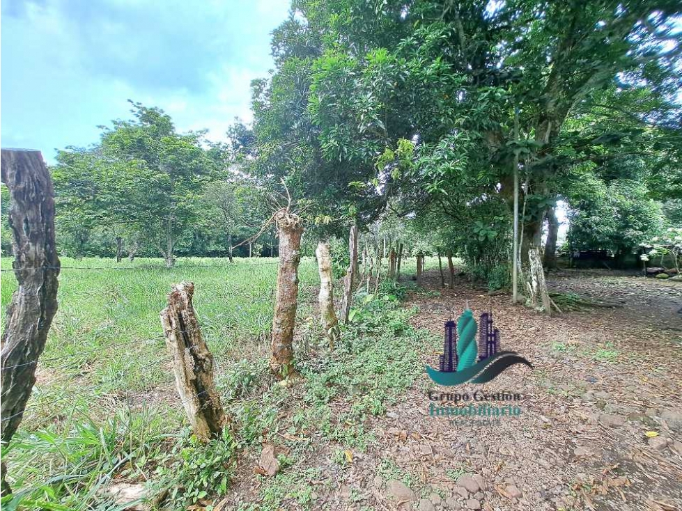 VENDO LOTE DE 9525MTS DIVALA - 4