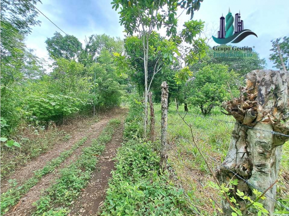 VENDO LOTE DE 9525MTS DIVALA - 5
