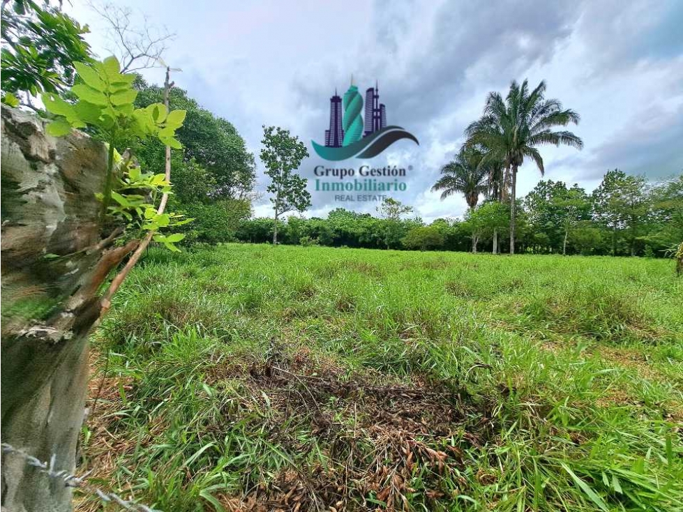 VENDO LOTE DE 9525MTS DIVALA - 6