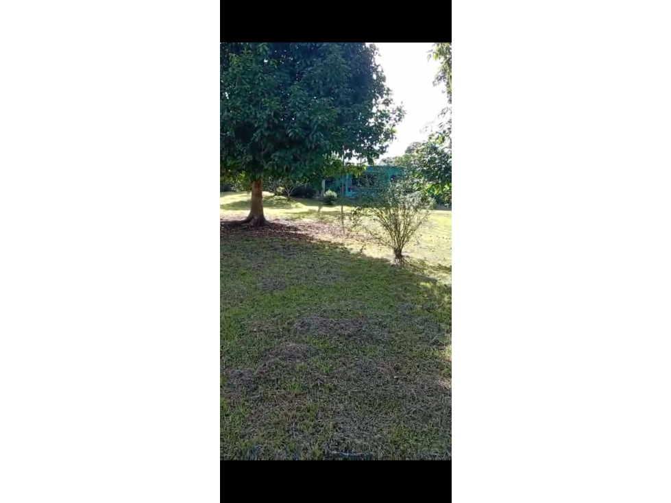 VENDO LOTE DE TERRENO-CAS 5000 MTS AV.PRINCIPAL PEDREGAL NEGOCIABLE — foto 4