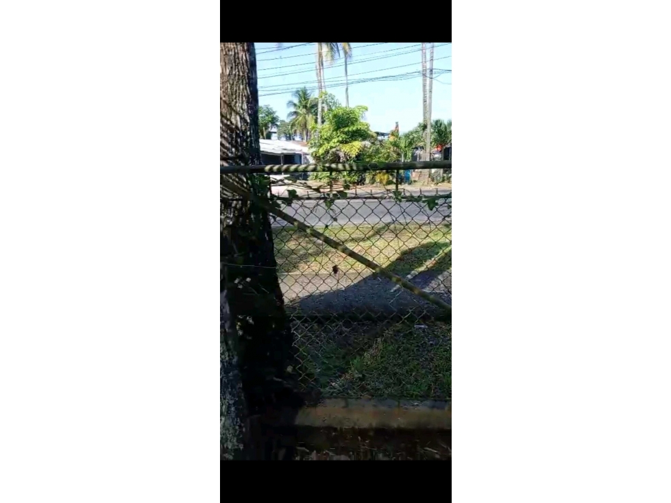 VENDO LOTE DE TERRENO-CAS 5000 MTS AV.PRINCIPAL PEDREGAL NEGOCIABLE — foto 2