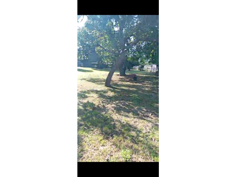 VENDO LOTE DE TERRENO-CAS 5000 MTS AV.PRINCIPAL PEDREGAL NEGOCIABLE — foto 5