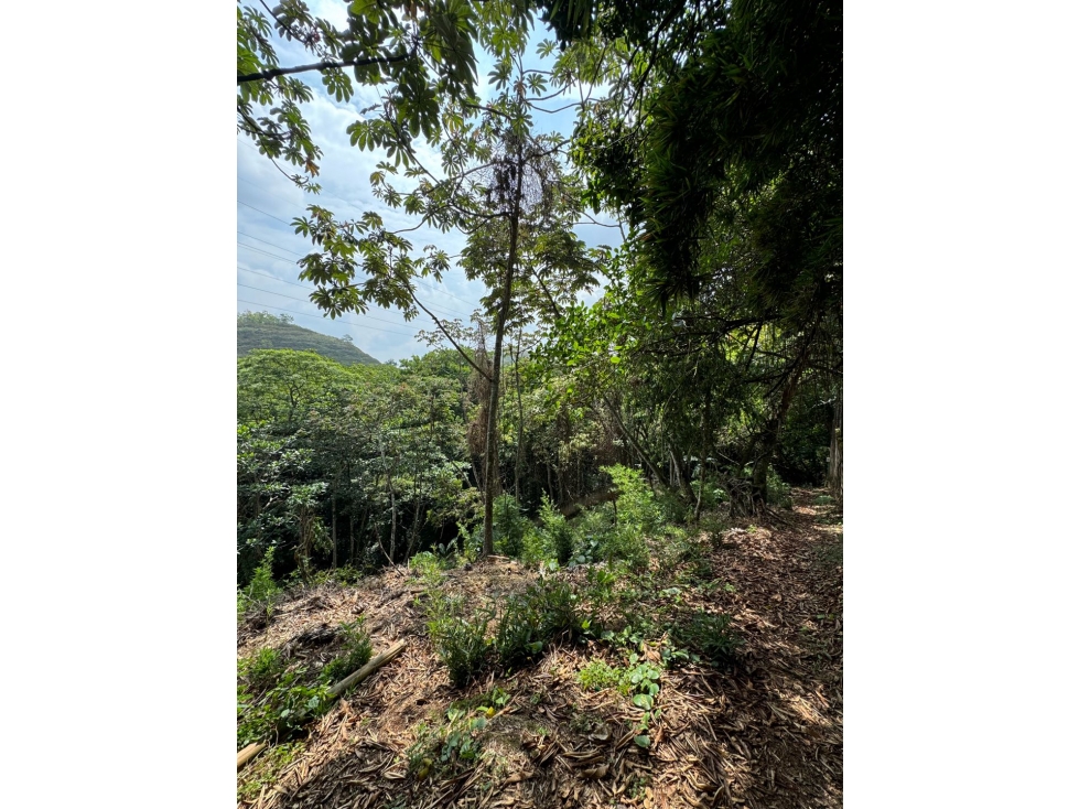 VENDO LOTE EL BELLA SUIZA 1760M2 - 3