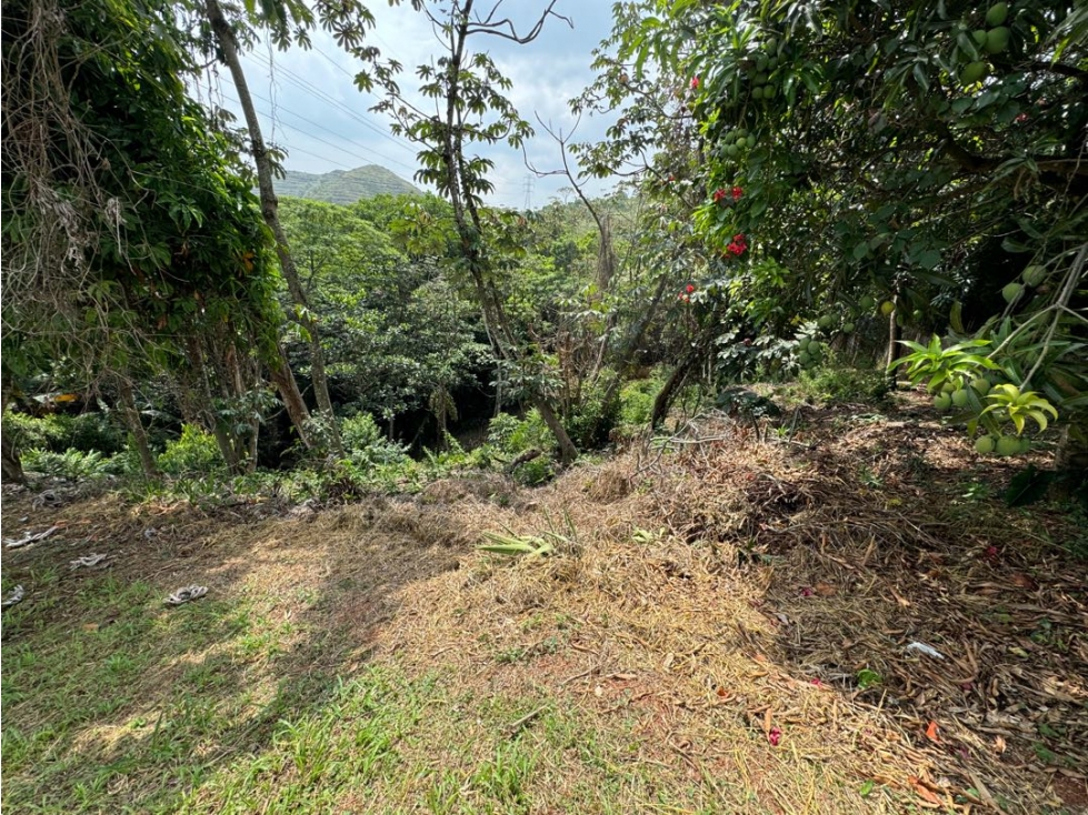VENDO LOTE EL BELLA SUIZA 1760M2 - 5