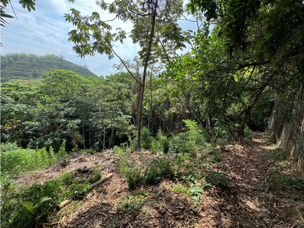 VENDO LOTE EL BELLA SUIZA 1760M2 - 6