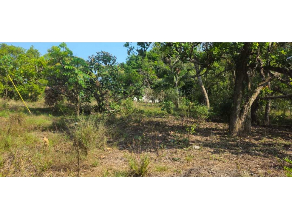 VENDO LOTE EN ALGARROBOS - 3