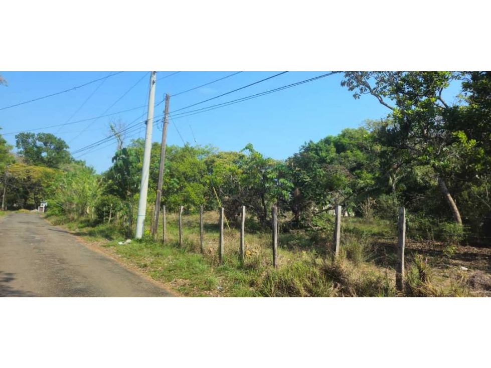 VENDO LOTE EN ALGARROBOS - 5